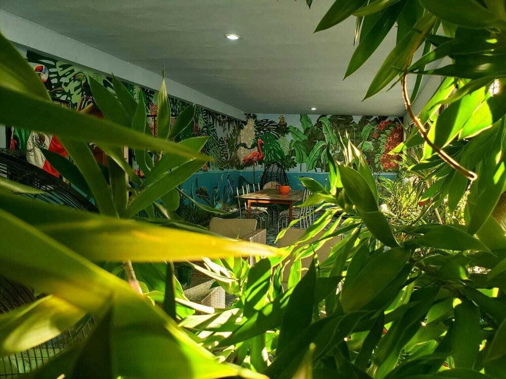 Royal Honey Hostel