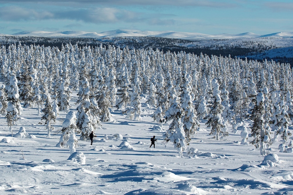 Sielikkö Aurora Log Villas