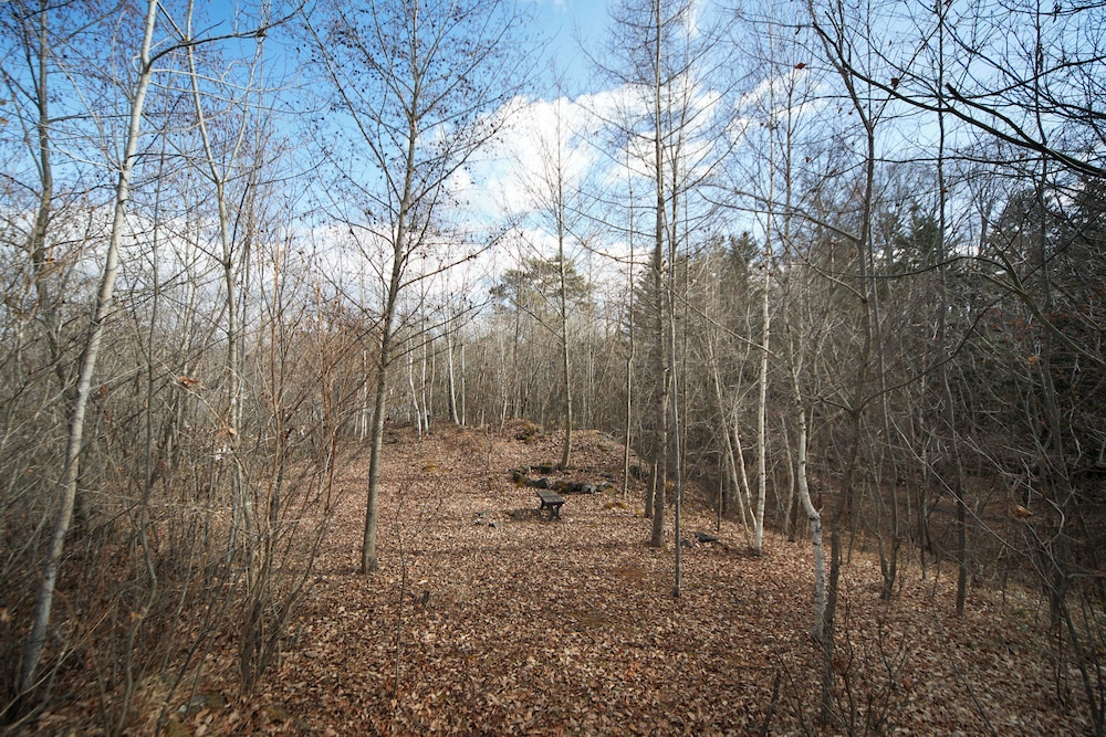 rinne 2nd living Kitakaruizawa Forest
