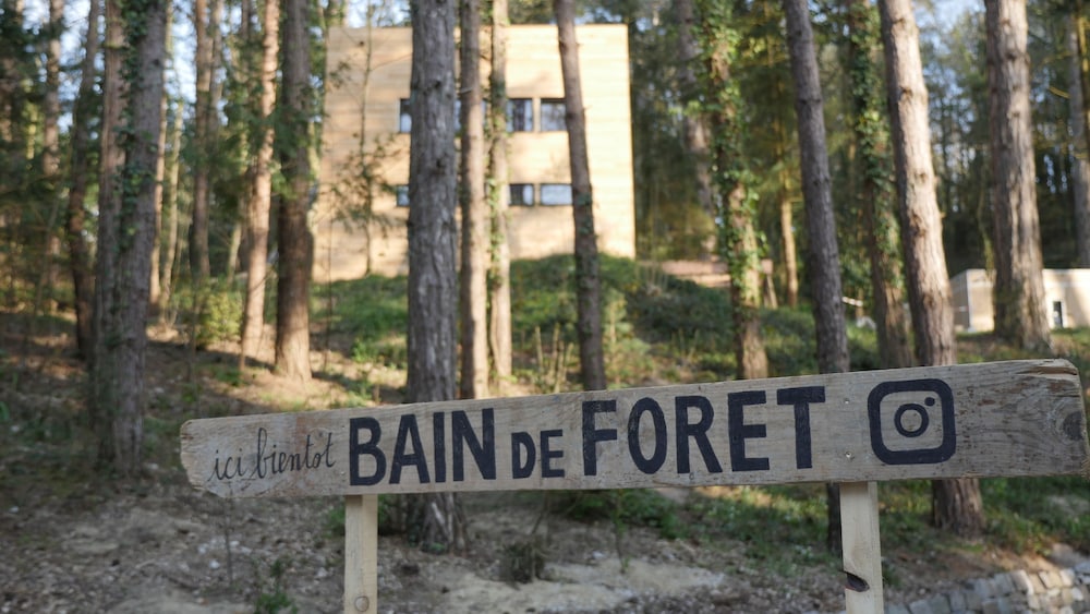 Bains de Forêt - Lodge Cosy & Spa view 2