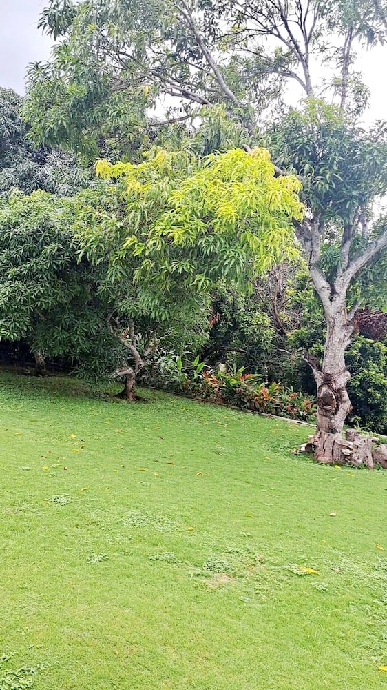 Montego Bay - Hillside Retreat
