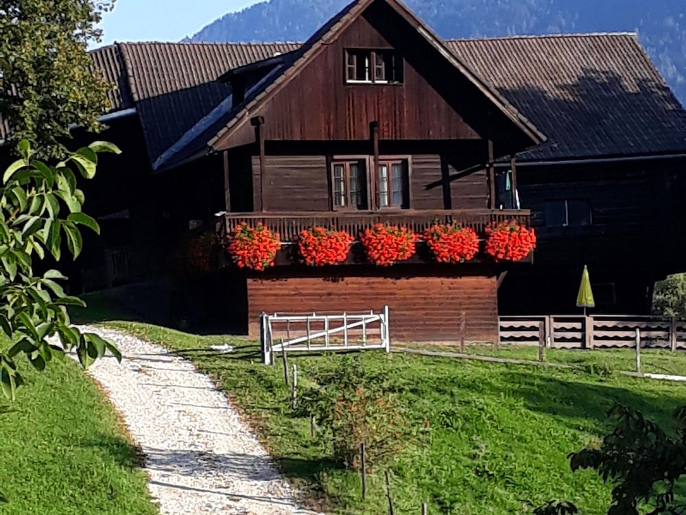 Farmhouse in Nockberge Near Ski Slopes