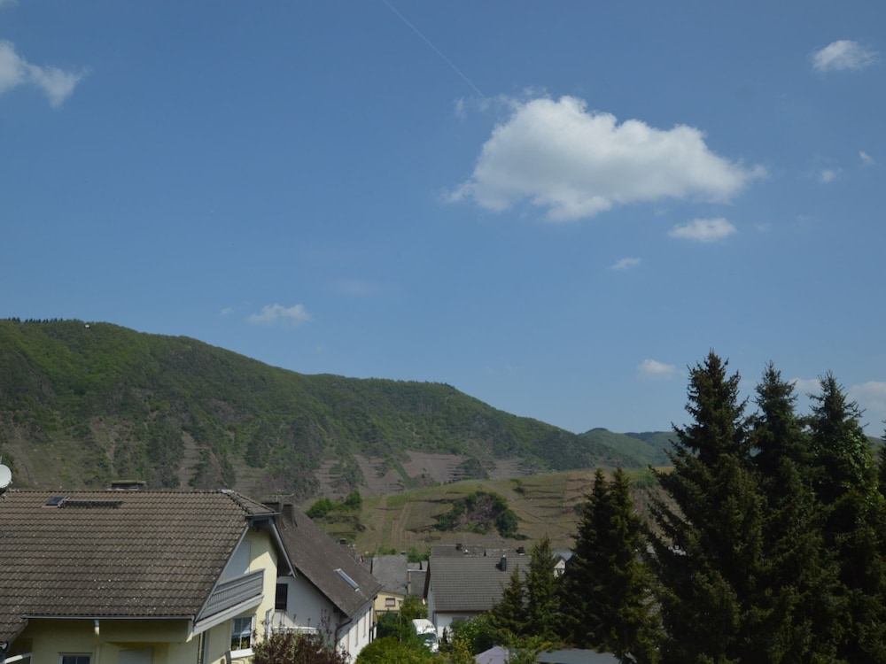 Comfortable Holiday Home Near Vineyards in Bremm