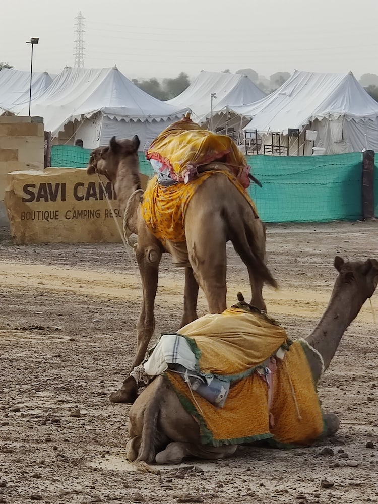 Savi Camps