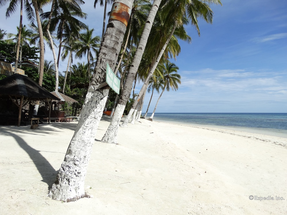 Anda White Beach Resort 62
