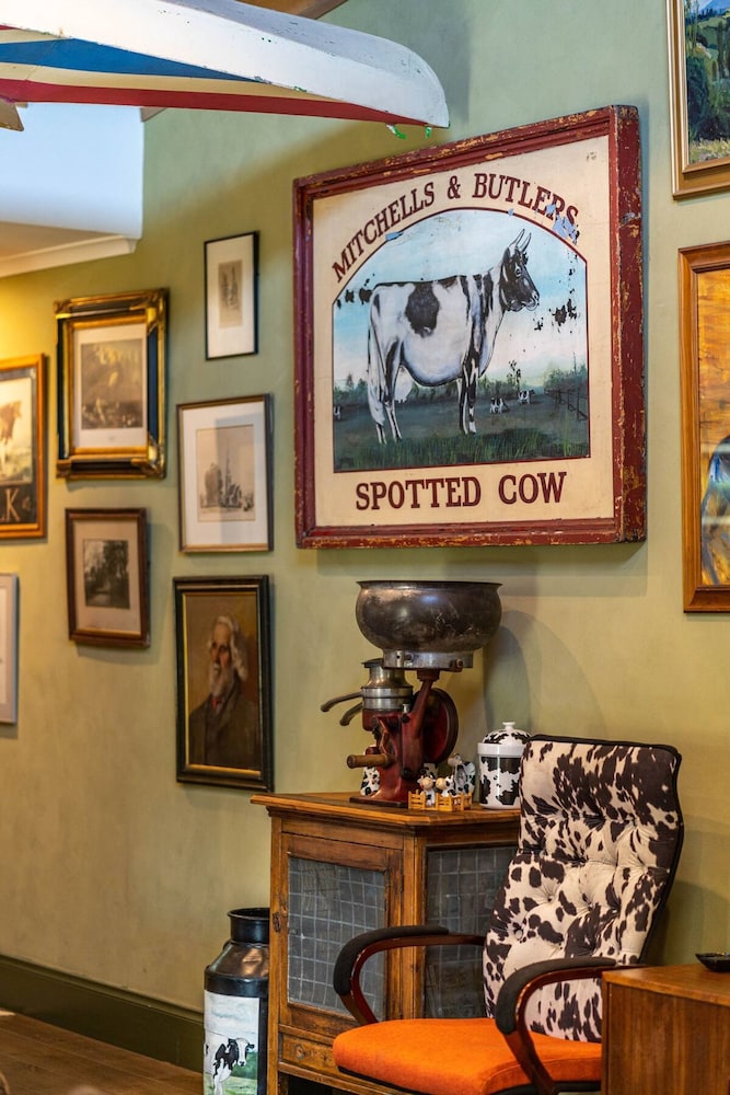 The Spotted Cow City Fringe Pet-friendly