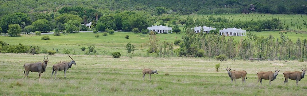 Leeuwenhof Country Lodge & Garden Spa