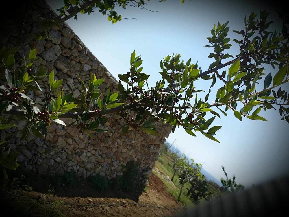 Antica Masseria Ficazzana