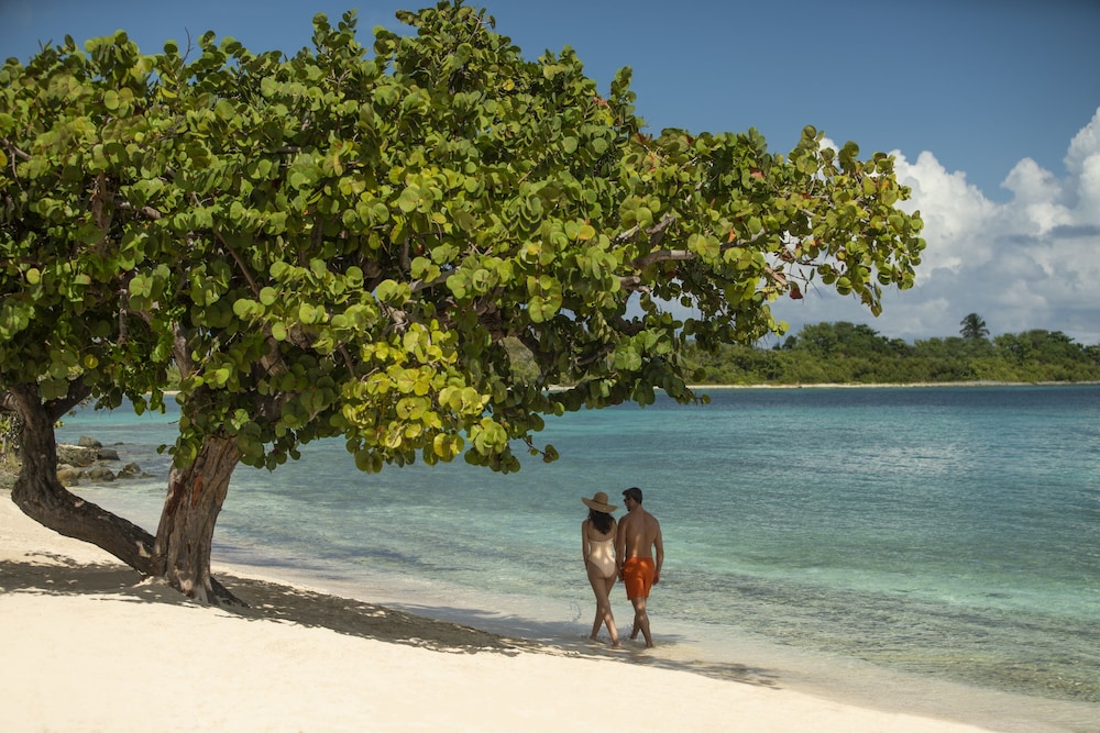 The Ritz-Carlton, St. Thomas - Photo 161