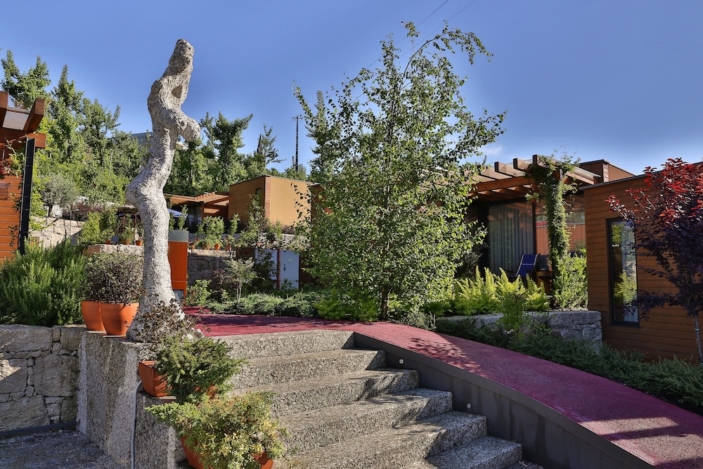 Vale de São Torcato Houses and Wine Bar