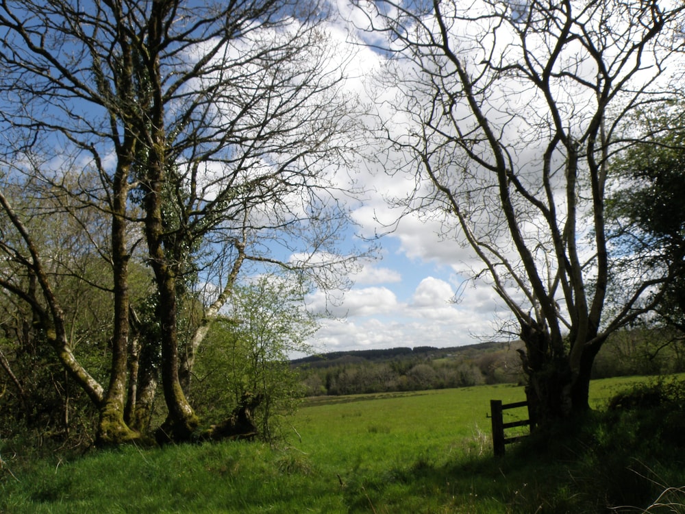 Hay Meadow Farm