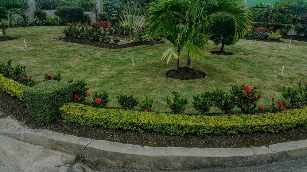 Oceanic View Apartment at Fern Court, photo 73
