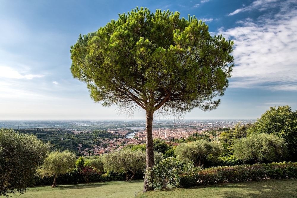 Corte San Mattia - Agriturismo in Verona
