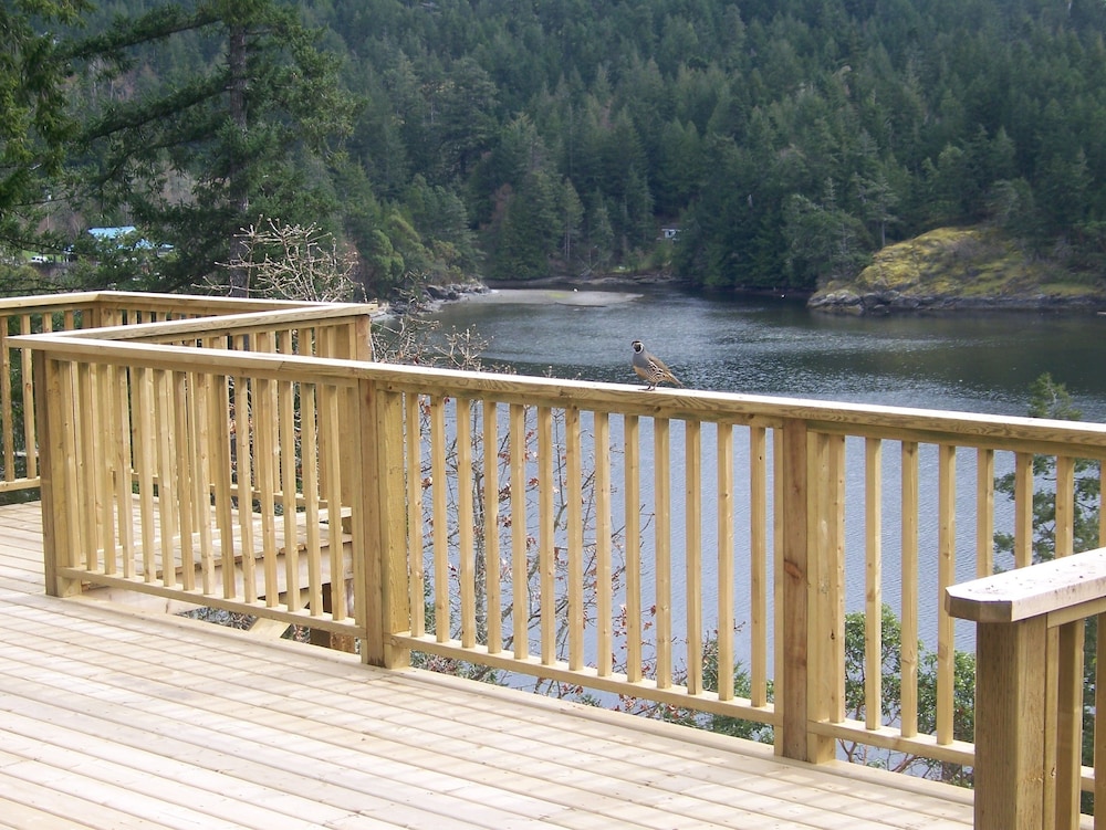Moonlit Cove B&B