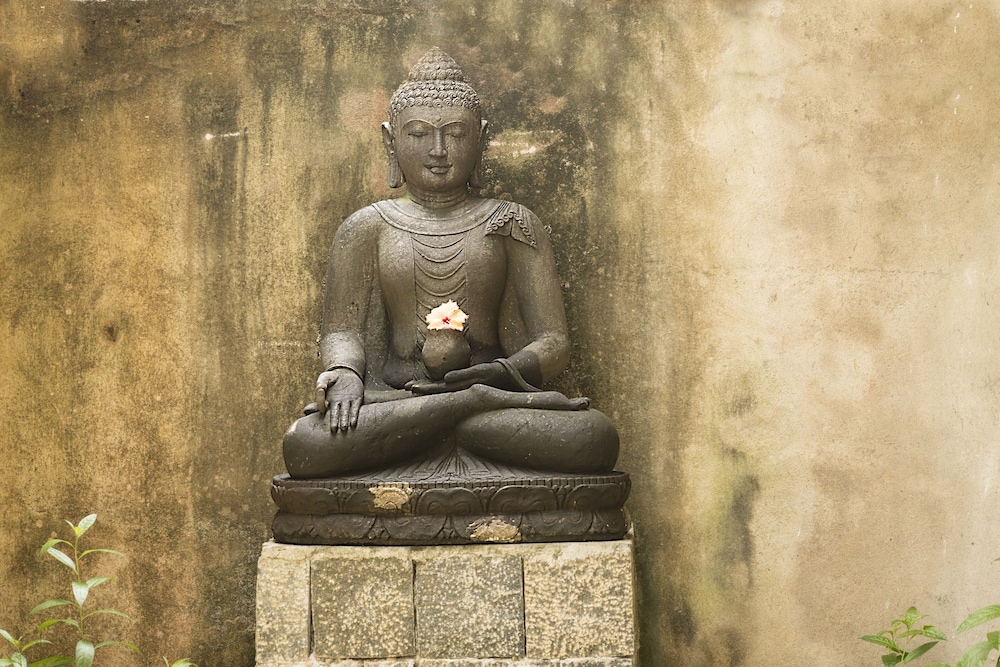 Kumara
