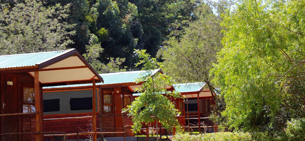 Tri Active Lodge
