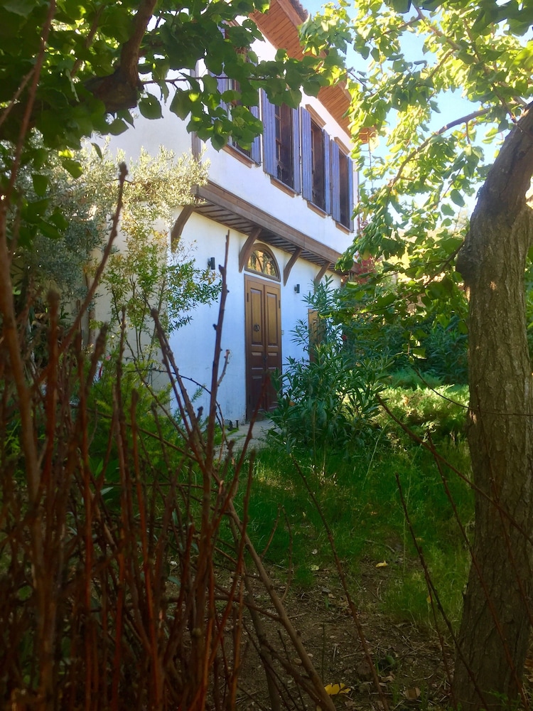 Photo 25