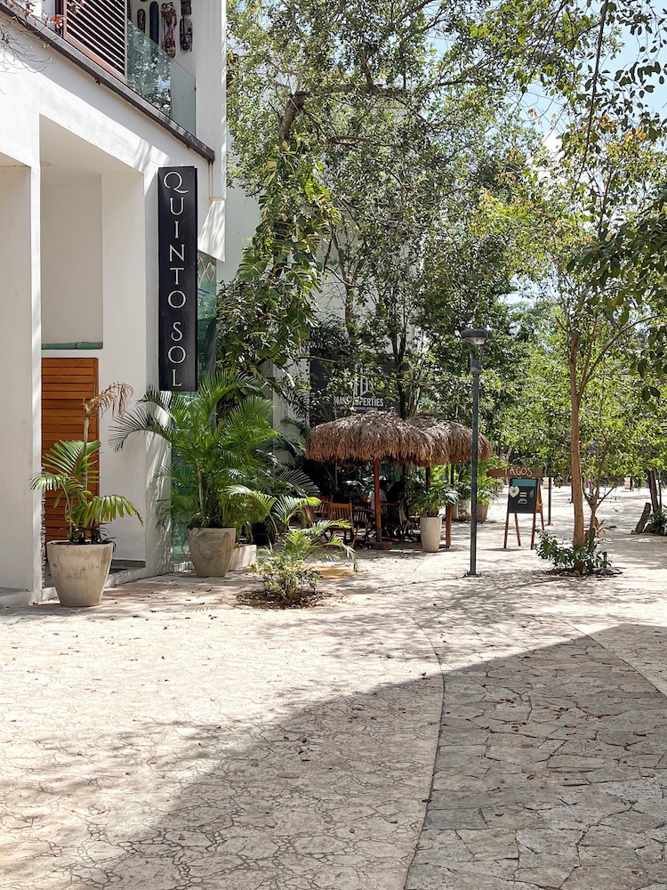 Quinto Sol Tulum view 2
