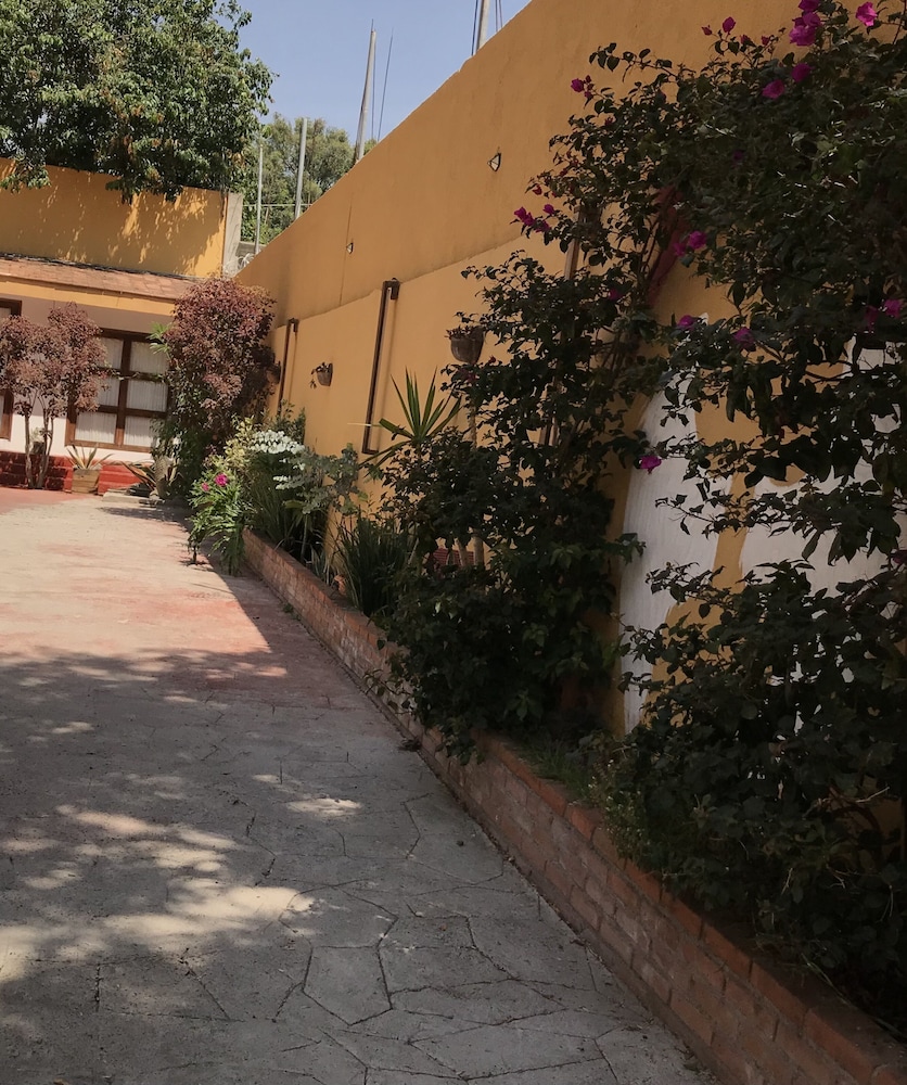 San Angel, photo 23
