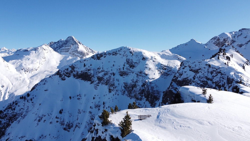 Holiday Apartment Near ski Area