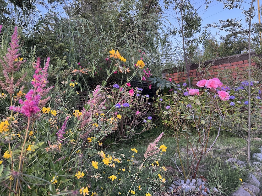Photo 18