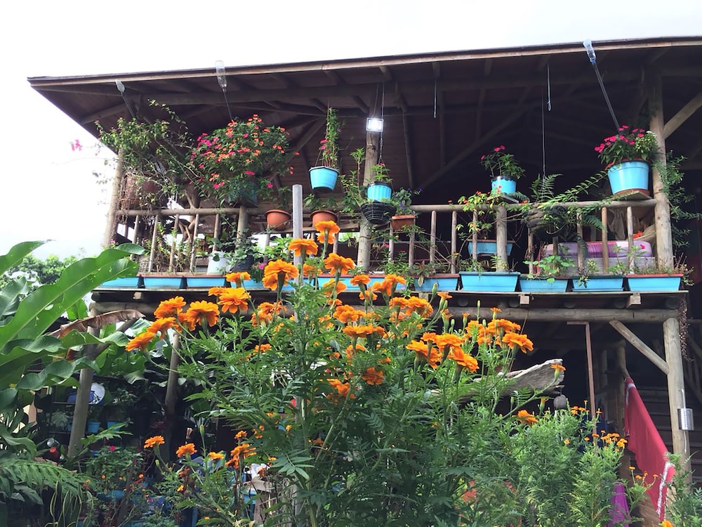 Wood House Hostel