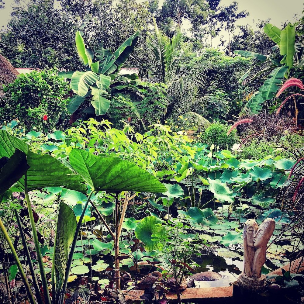 Sattva Land