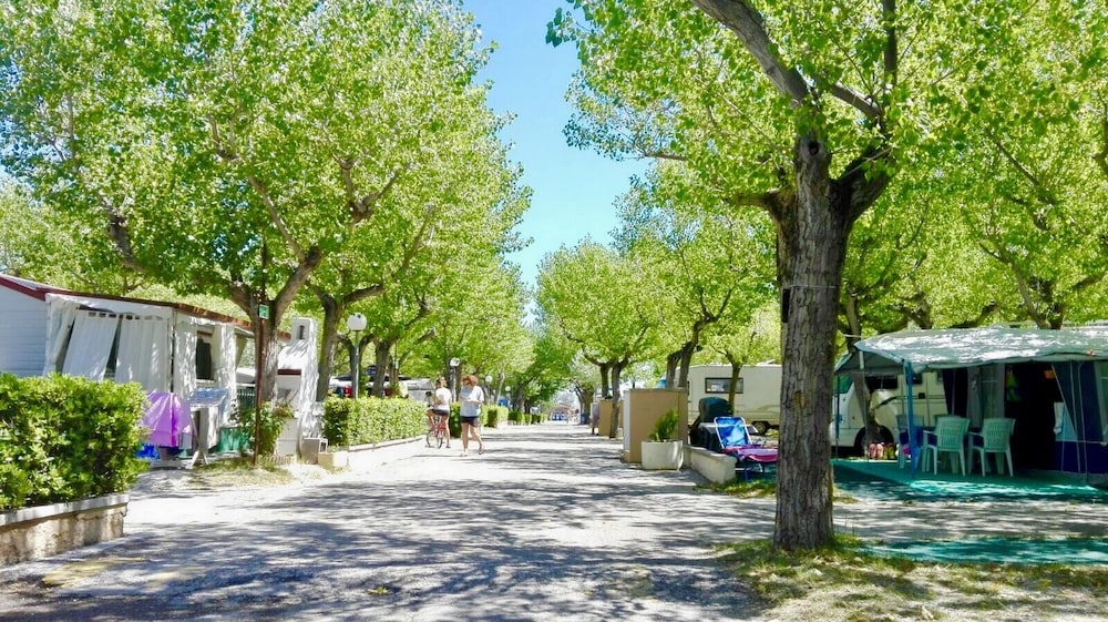 Photo 33