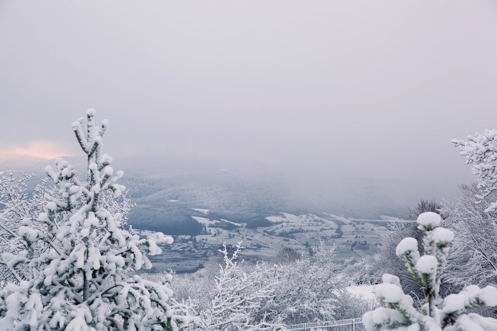 Bolu Yaban Yasam Chalets