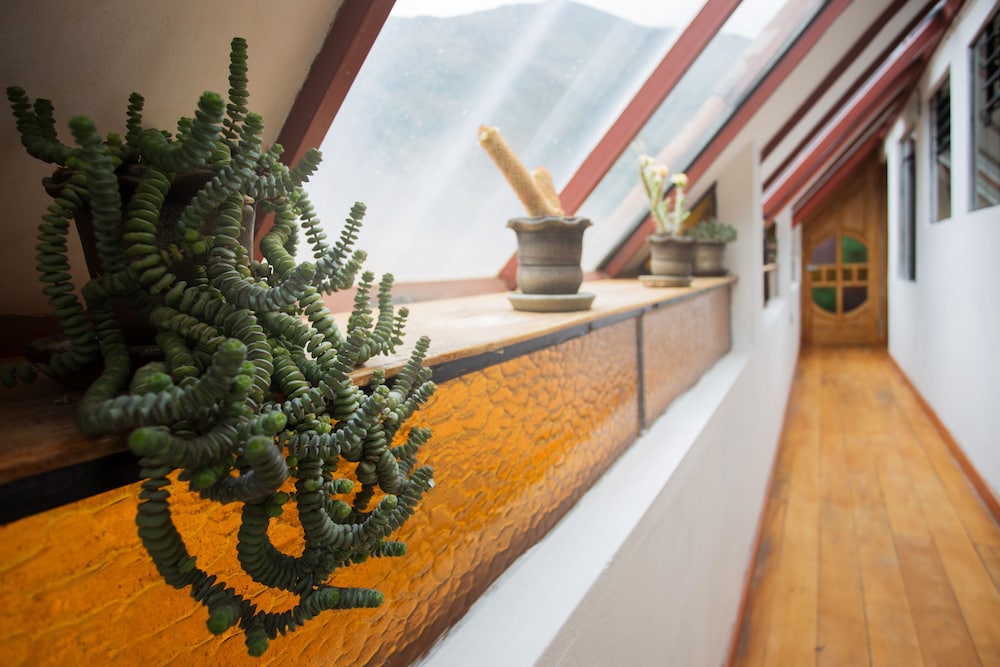 Hotel Inka King - Hostel