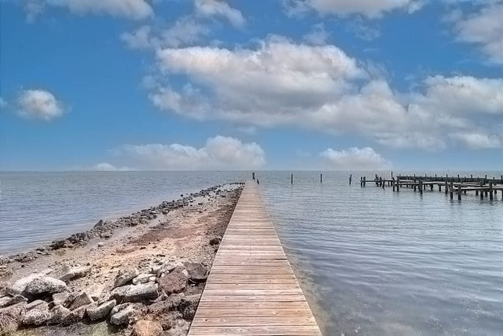Fins and Feathers by Avantstay Waterfront Dock