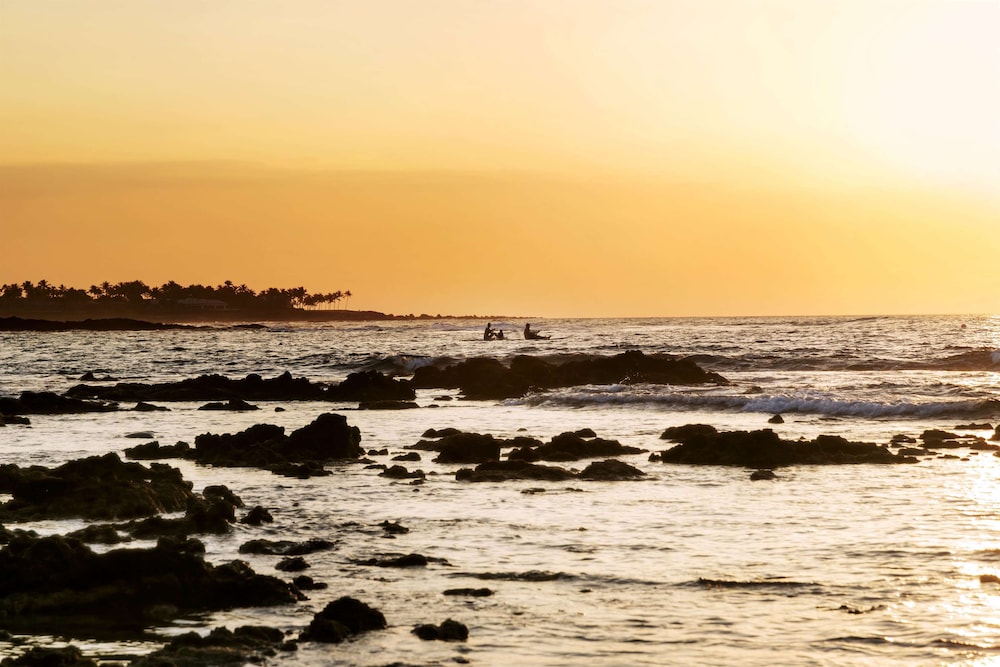 Fairmont Orchid - Property Image 84