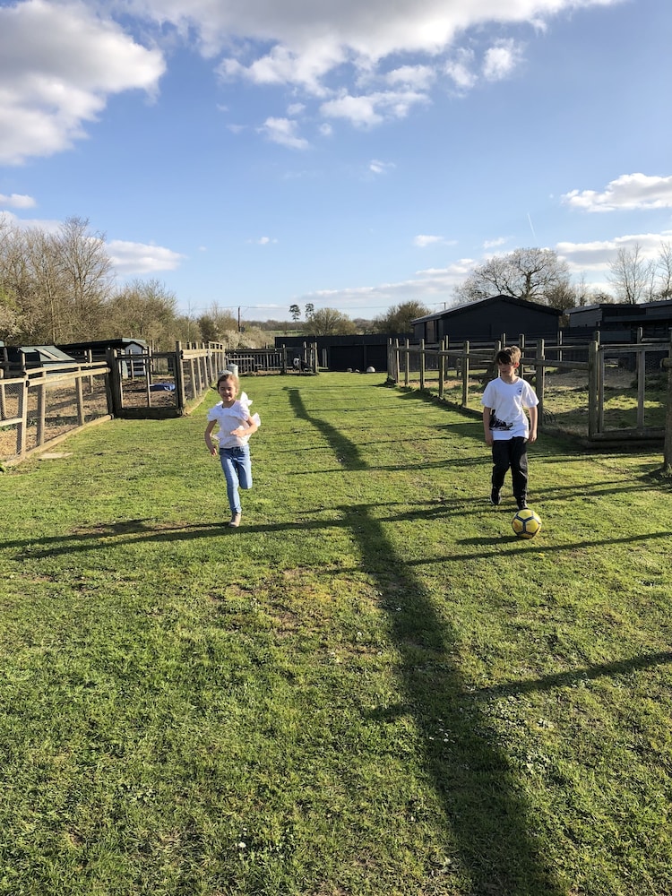 Willow Court Farm