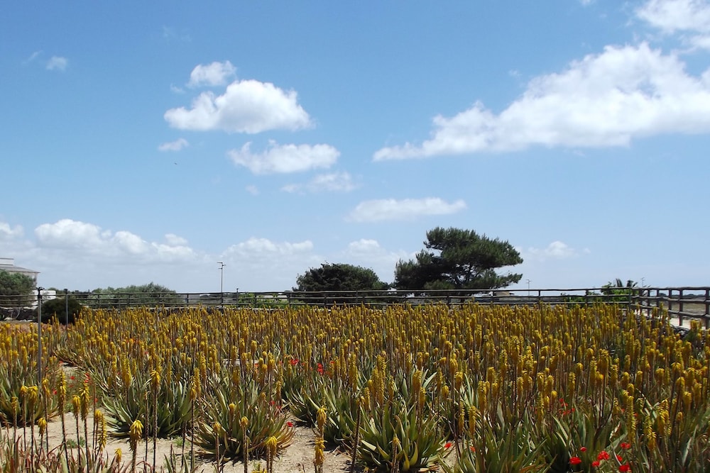 Il Giardino delle aloe