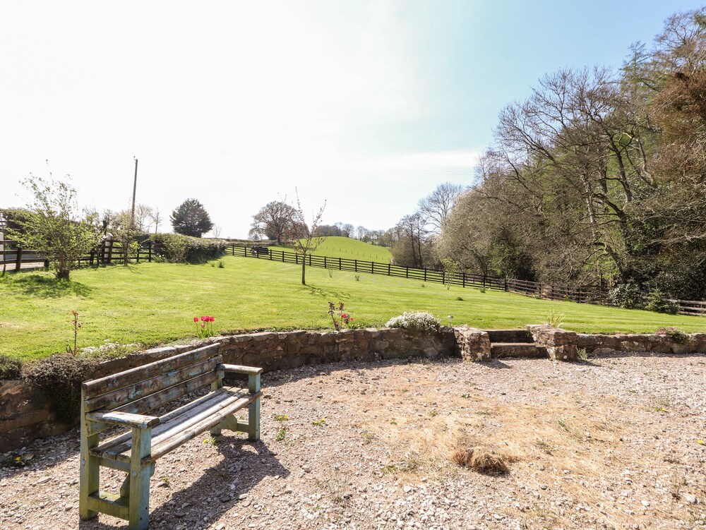 Nant Y Celyn