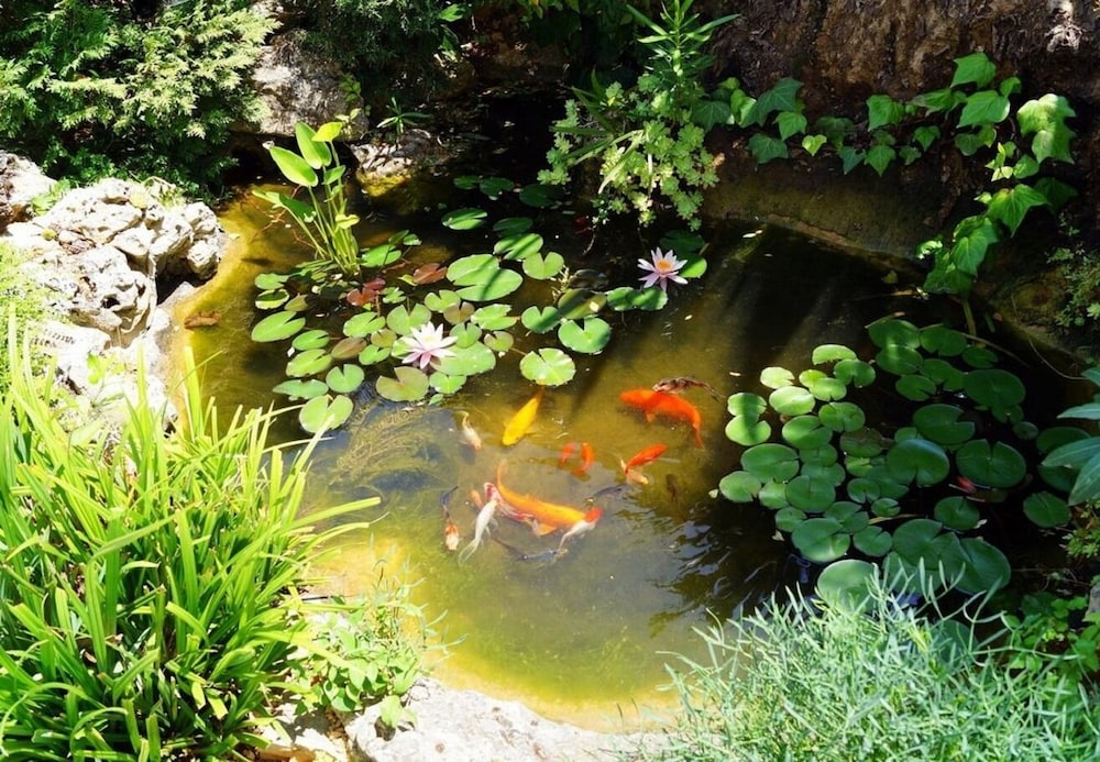 Photo 22