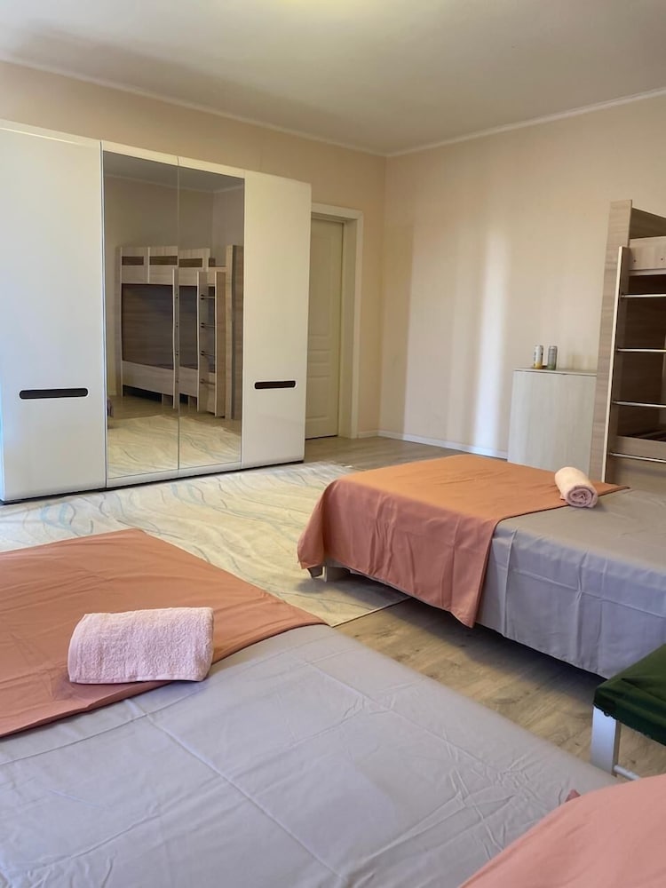 Hostel lion view 5