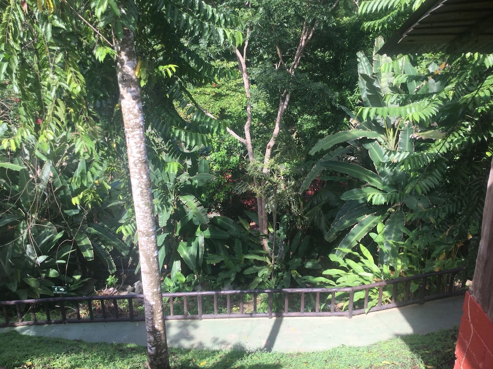 Hotel Samsara
