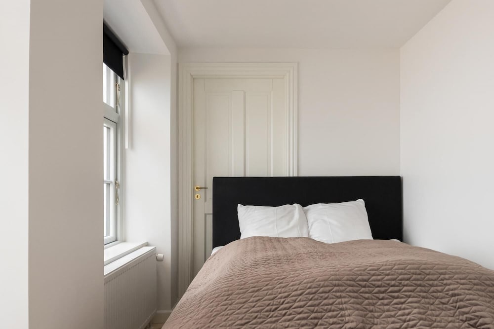 Newly Renovated Luxury Apt Heart of CPH view 4