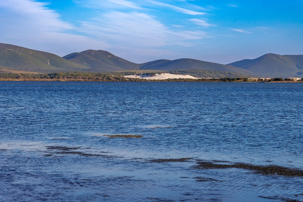 4 Ala Birdi Cottage 150m From The Beach photo 5