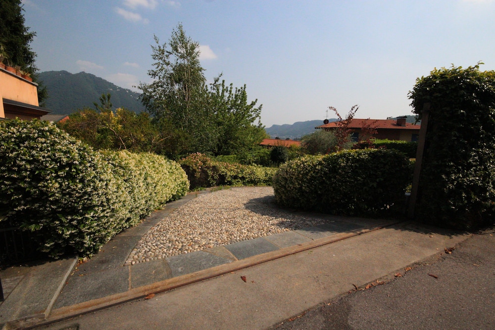 Photo 25