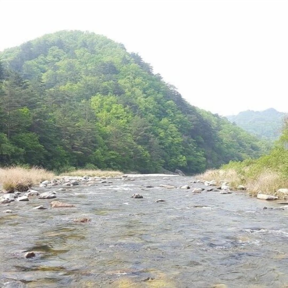 Caddis Pension