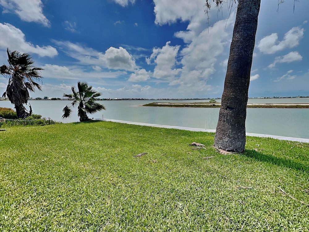 7 Palms by Miss Kitty’s