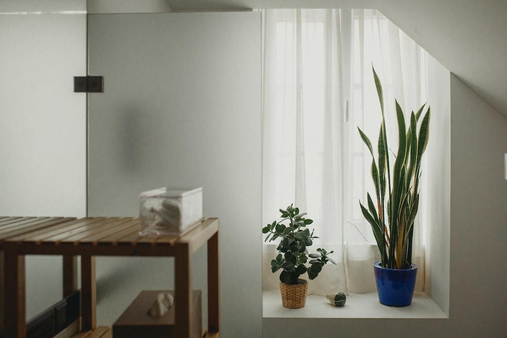 CASA AMORA Studio Apartments