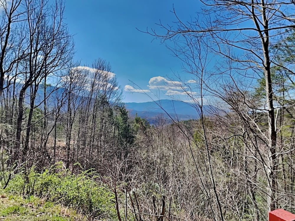 Honey Bear Hideaway by Jackson Mountain Rentals