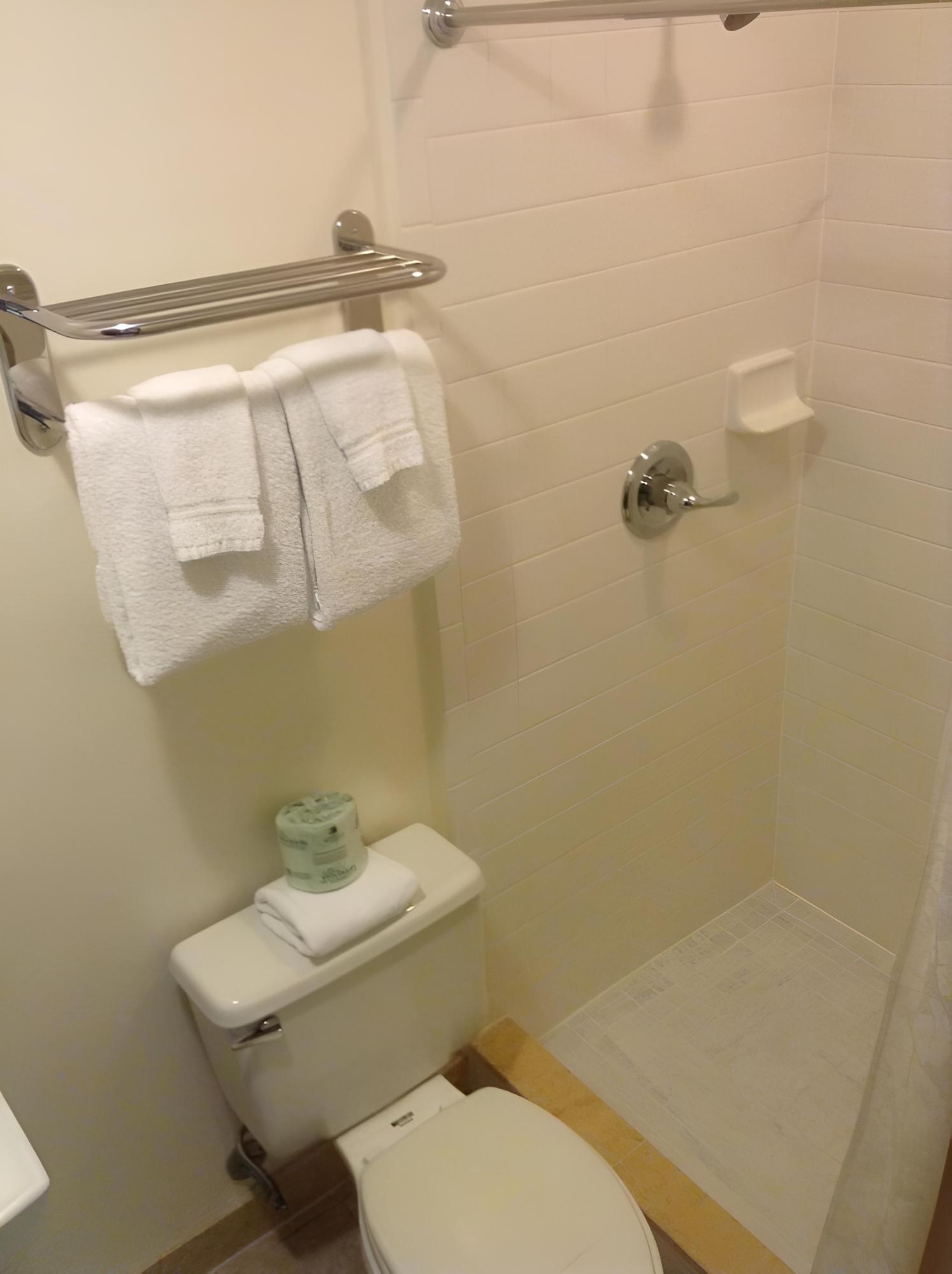 New Orleans Vacations - Prytania Park Hotel - Property Image 31