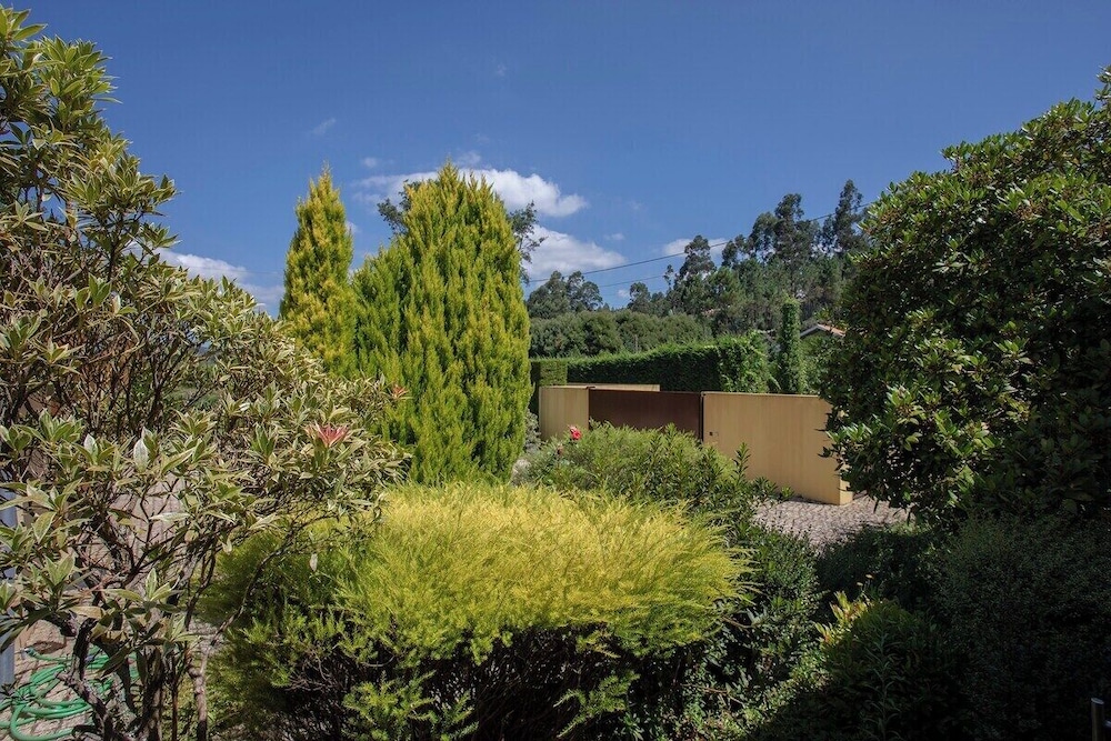 Liiiving in Caminha Countryside Pool House