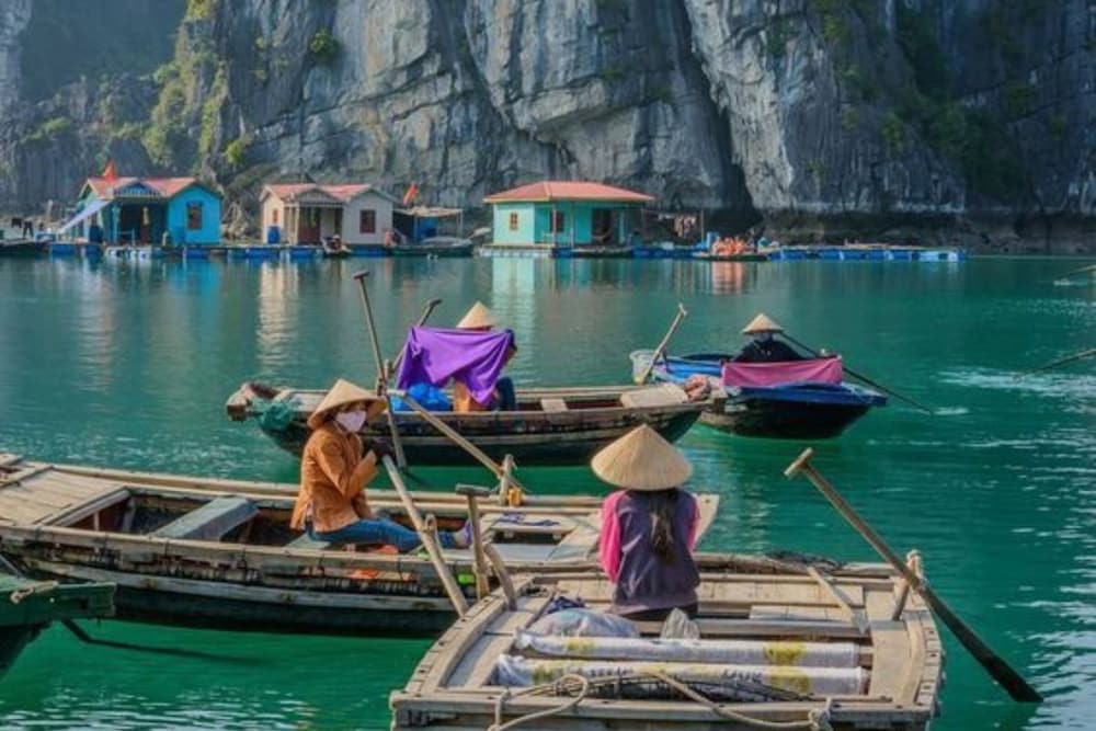 Verdure Lotus Classic Cruise on Lan Ha Bay