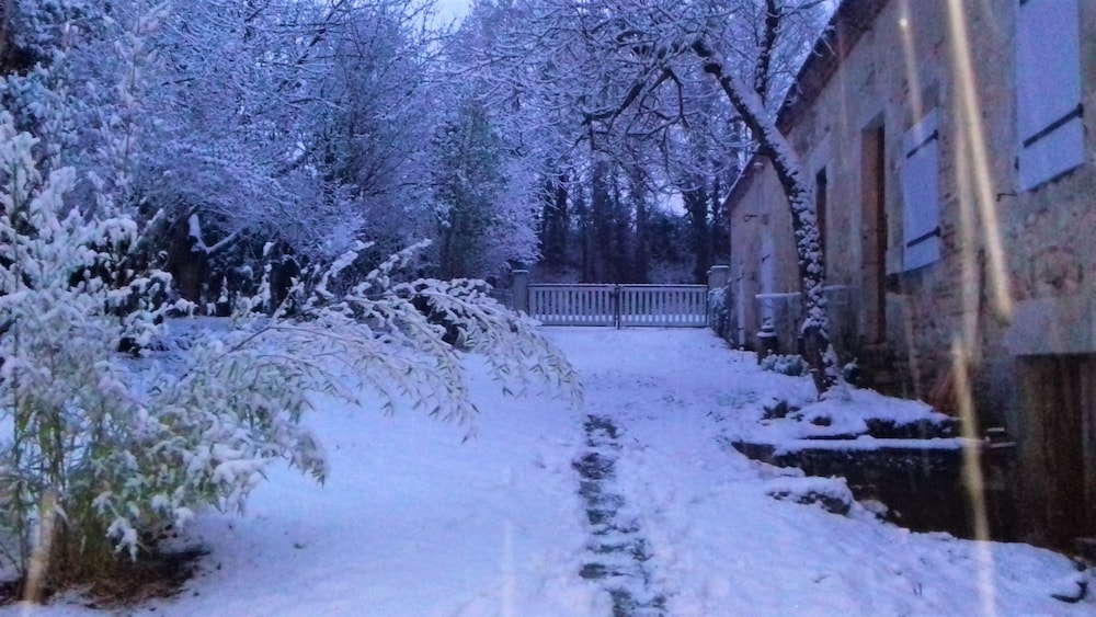Photo 47