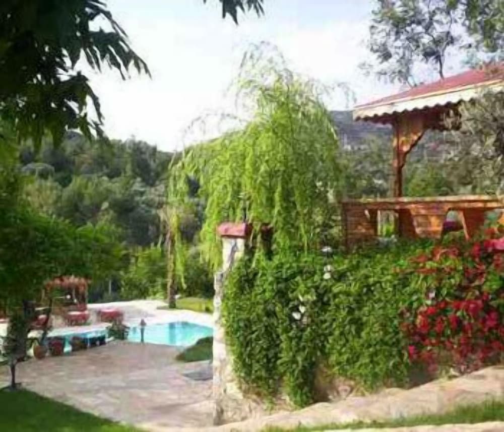 Photo 10